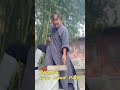 Shaolin Iron Sand Palm Broken Brick Within 1 Inch Kungfu Shaolin