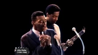 Little Walter - My Babe | American Folk Blues Festival &#39;67 (Colorized) #blues