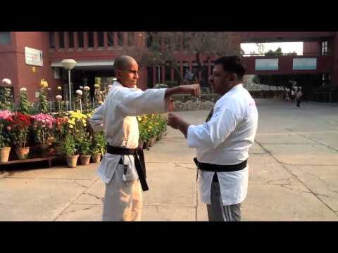 Karate Basics (Kihon) - Jodan, chudan & gedan suki