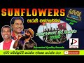 SUNFLOWER LIVE Sebalanane Oba Maruna Nowe පැරණි සන්ෆ්ලවර්ස් 2006 REC