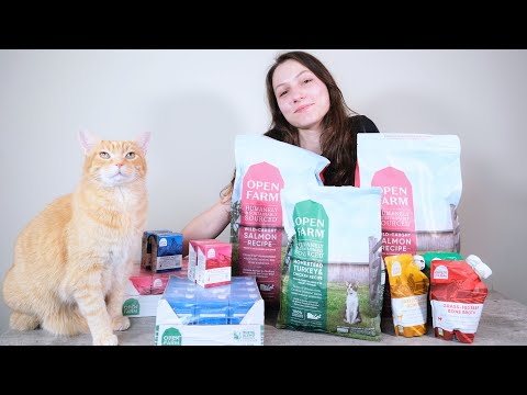 Open Farm Cat Food Review (We Tested It)