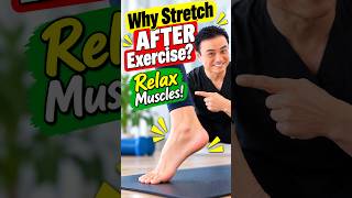 Why Stretch AFTER Exercise? Relax Muscles! #shortsvideos #exercisetips #stretchingexercises