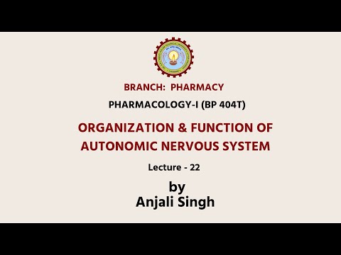 Organization & Function of Autonomic Nervous System