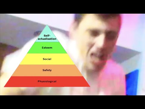 Maslow Pyramid Any% Speedrun | 8.1 Seconds