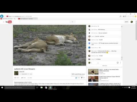 Live Druma African Safari Cam Come Watch With our Experts Guides