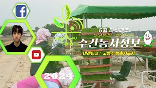 [ 주간농사정보 ] 5월 5째주 (2024. 05. 27. ~ 06. 02.)