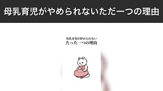 【たんくま】育児あるある連続！親なら共感必至｜第386話～第390話