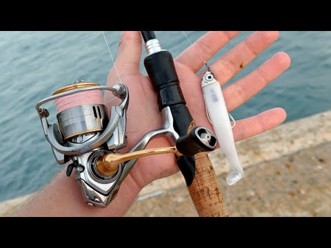 Summer lure Sessions - Seabass Fishing