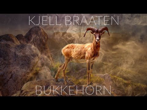 BUKKEHORN (Rams horn)