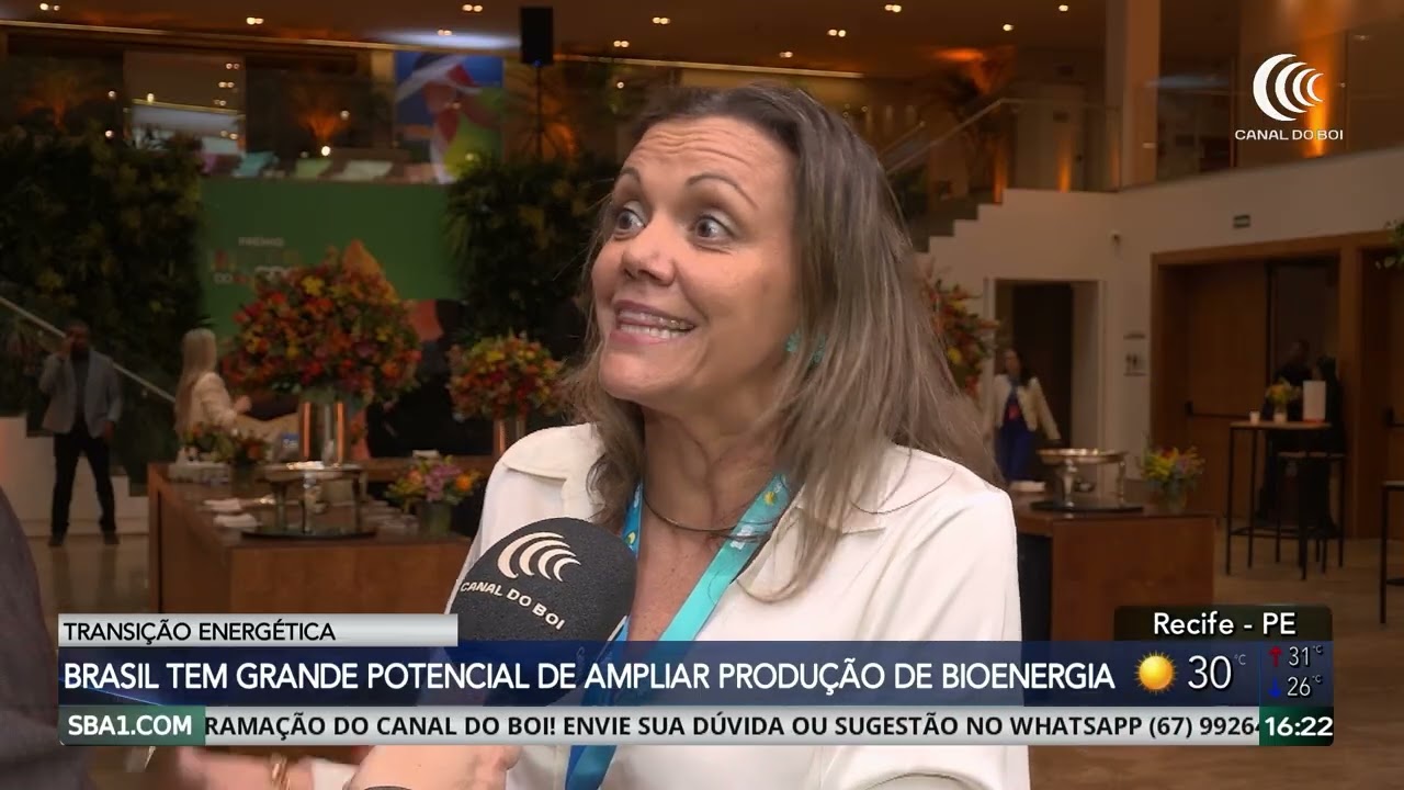 Brasil tem grande potencial em ampliar produção de bioenergia
