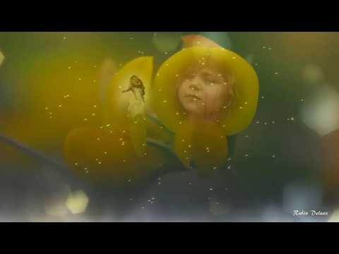 Sie Ist Doch Kein Kind - Michel van Dam