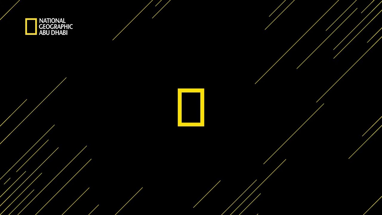 National Geographic Abu Dhabi (United Arab Emirates) - Promos (January 19, 2026)