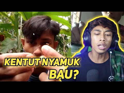 konten-ga-berfaedah-meneliti-bur1d-nyamuk