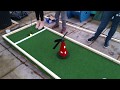 DIY Backyard Crazy Golf