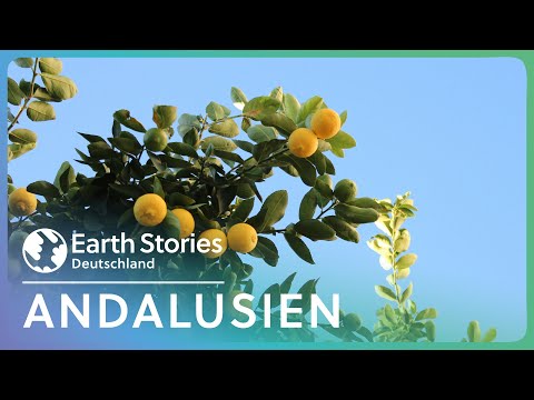 Andalusien: Ein Paradies zwischen Trockenheit und Blütenpracht