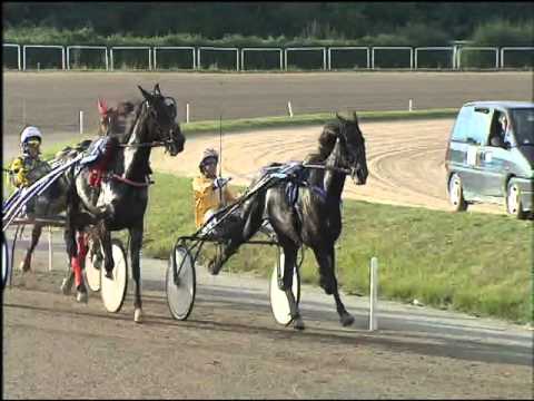 Trotto 25/10/2015 - 4° corsa