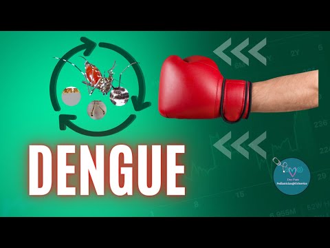 Dengue Mosquito: Life Cycle and 4+ Steps on How to eliminate
