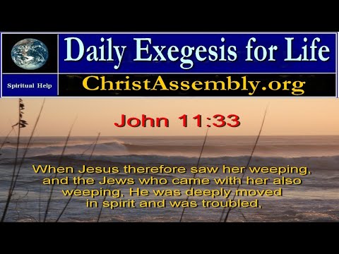 Day  498 | The Gospel of John | Daily Exegesis for Life | John 11:33