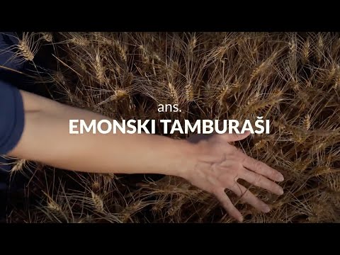 Hitri intervju: ans. EMONSKI TAMBURAŠI - 51. FESTIVAL NARODNO-ZABAVNE GLASBE ŠTEVERJAN 2023