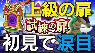 【DQW】試練の扉『上級』初見で大惨事orz【11歩目】