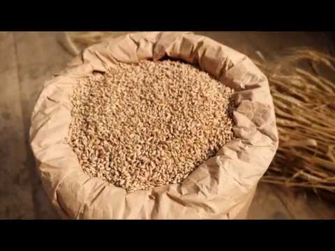 echterWeizen - der Verein