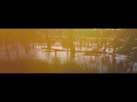 Silvio Vincent - In einem anderen Leben