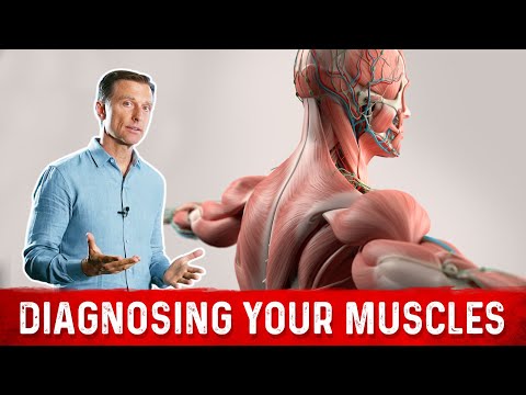 6 Things Muscles Tell You About Your Nutrient Status