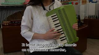 Suzuki Andes 25F - Keyboard recorder2