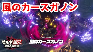 【実況】定年を迎えた父を再びハイラルの大地に放り込むPart33【ゼルダ無双 厄災の黙示録】