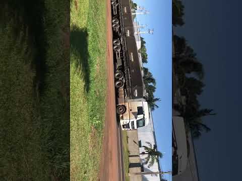 Califórnia Paraná no 12