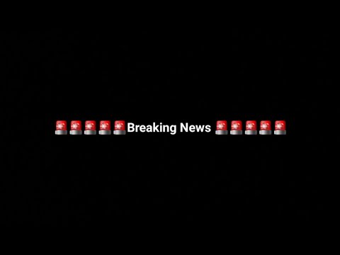 BREAKING NEWS: ANGELICA GALVAO MAKES A STATEMENT. #bjj #giannigrippo #jiujitsu #bjjnews