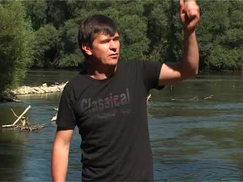 Zlatko Nedeljko Pepsi - Put na more