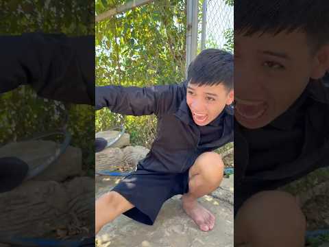We Found a Food Item That Can Help Everyone P204 #camping #trending #shortvideo #survival #animals