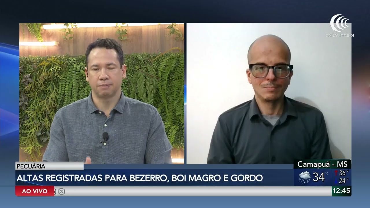 Pecuária registra altas nas principais categorias