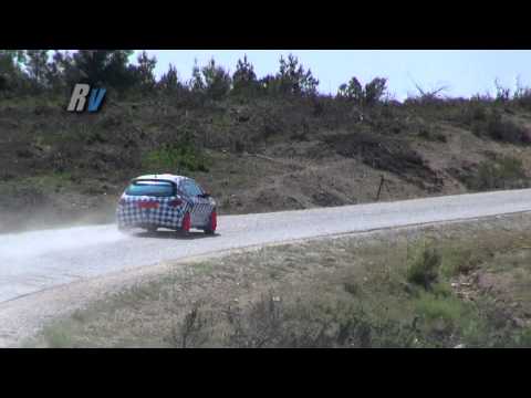 2015 100. Yıl Çanakkale Rallisi / Tansel Karasu - Yüksel Karasu / Peugeot 206 RC