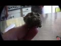 Bubblefunk by Muck Sticky