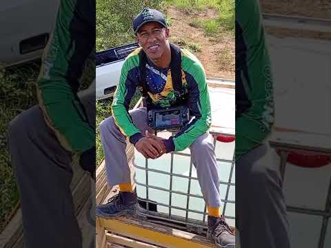 O drone adubando a roça, Barra Nova - Guaratinga Bahia.