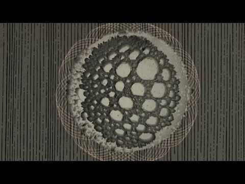 Sax N Dub ft. Lucila - Equinox