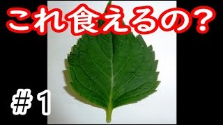 先輩に野草を食わせたら大変なことになった【超ＳＯＳ】＃１