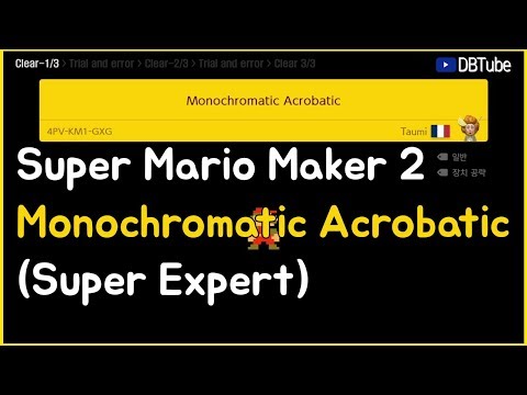 [How to do DB] Super Mario Maker 2 - Monochromatic Acrobatic (Super Expert)
