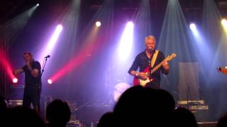 The dog, the dog, he&#39;s at it again