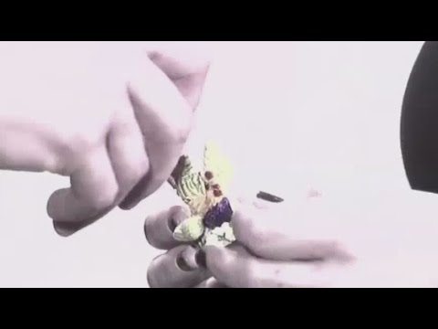 1-20-15 (2) nuJaSam - P&D Figurines