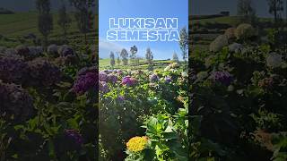 Download lagu Lukisan Semesta     #travel mp3