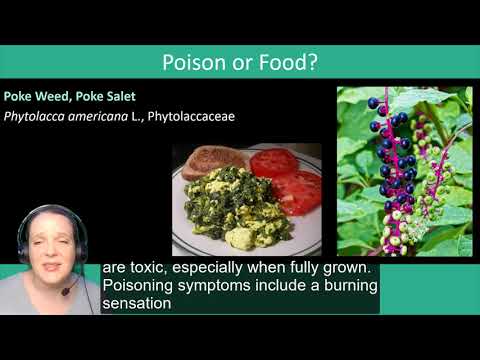 Injurious Plants: Poisons, Allergens and Teratogens in History