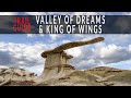 King of Wings / Valley of Dreams (Ah-Shi-Sle-Pah), New Mexico - Trail Guide