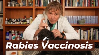 Is the Rabies Vaccine Causing Anxiety Disorders in Dogs