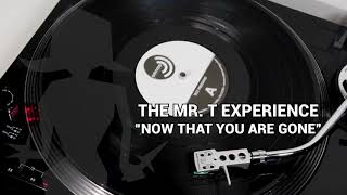 The Mr T Experience - &quot;Now that You Are Gone&quot; (test press)