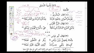 البلاغة الواضحة ( 10)  التشبيه التمثيلي image