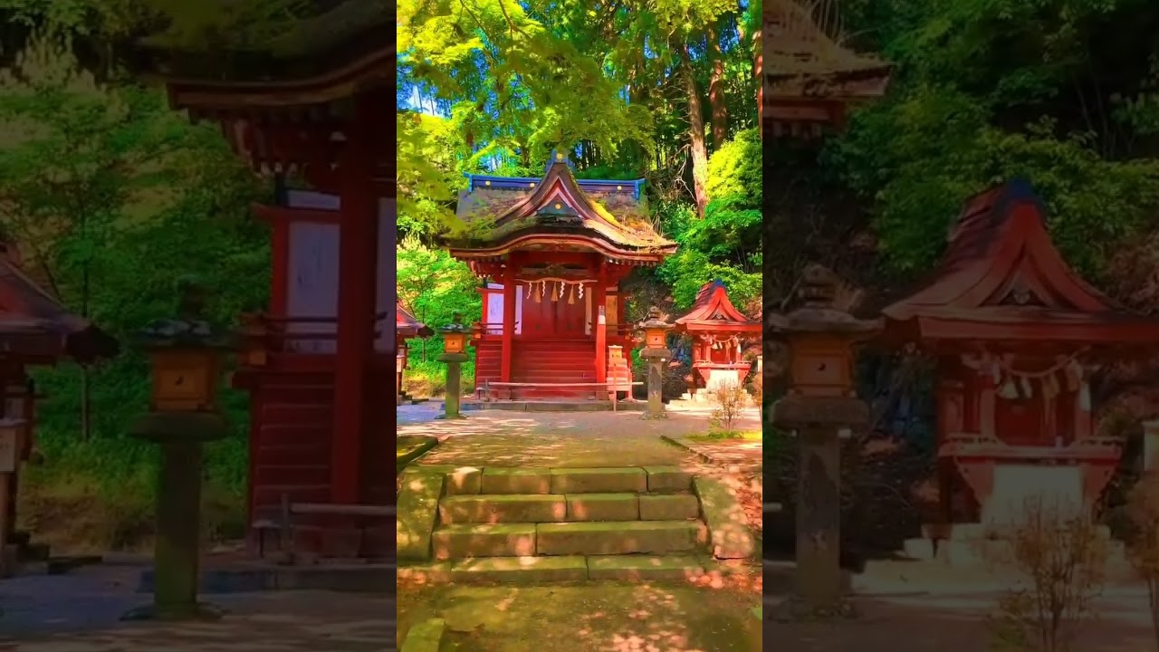 YouTube Short thumbnail