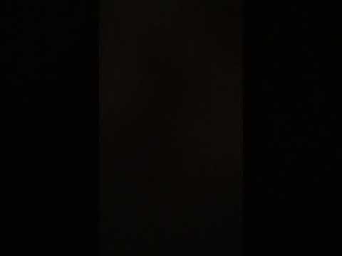 Lars Von Trier - Antichrist